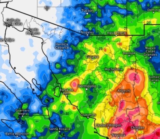 Hoy, la tormenta invernal se extenderá por todo el estado