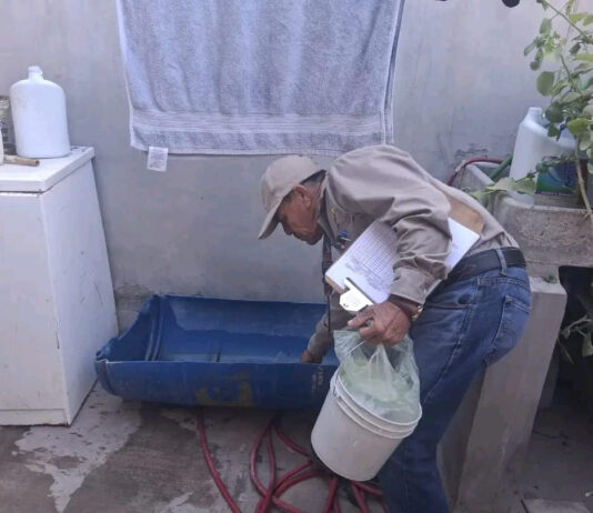 Mantener patios limpios reduce el riesgo de dengue y rickettsia