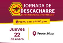 Habrá jornada de descacharre del 21 al 23 de enero