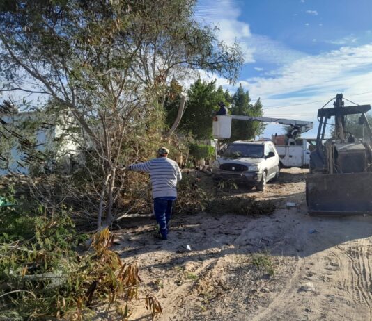 ¡Jornada de limpieza!