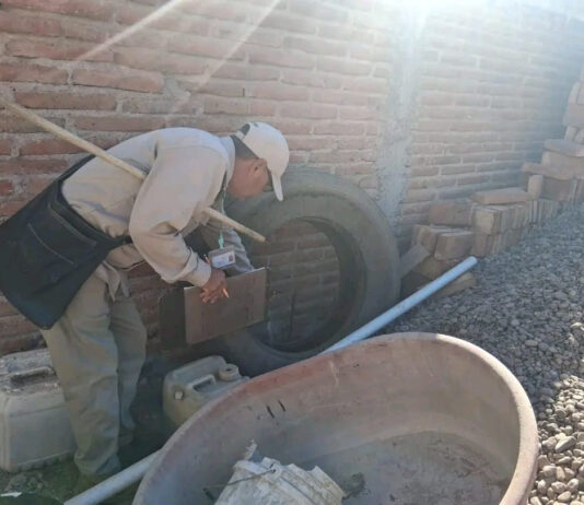 Refuerzan llamado a la limpieza para prevenir el dengue en Sonora