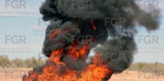 Incineran casi media tonelada de drogas en Hermosillo