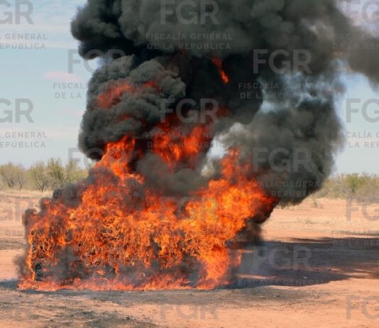 Incineran casi media tonelada de drogas en Hermosillo