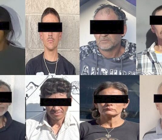 En un solo día aseguran casi 600 dosis de droga