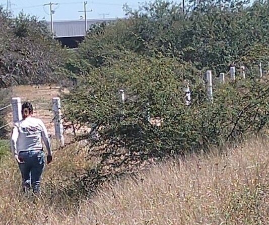 Cuerpo hallado hoy cerca del Boca Abierta está sin identificar en SEMEFO