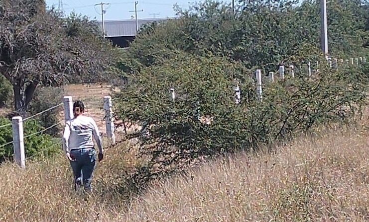 Cuerpo hallado hoy cerca del Boca Abierta está sin identificar en SEMEFO