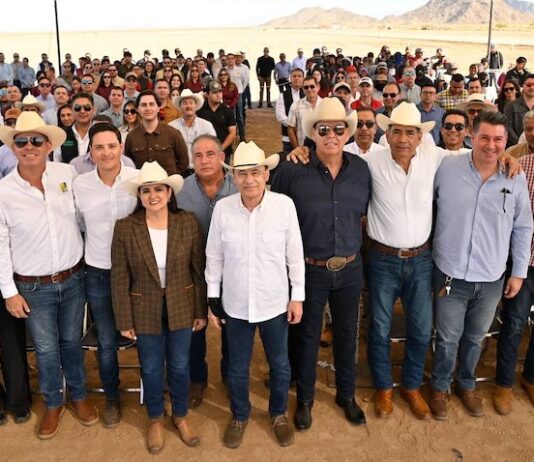 Durazo arranca cosecha de espárrago y consolida liderazgo agroexportador de Sonora