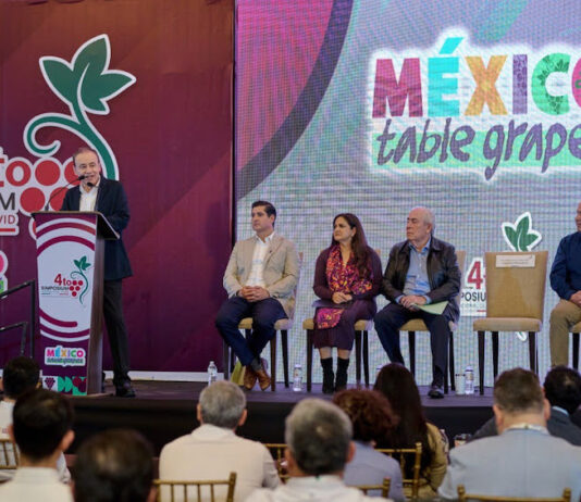 Durazo consolida a Sonora como líder en producción de uva de mesa