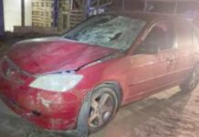 ¡Muere mujer atropellada!