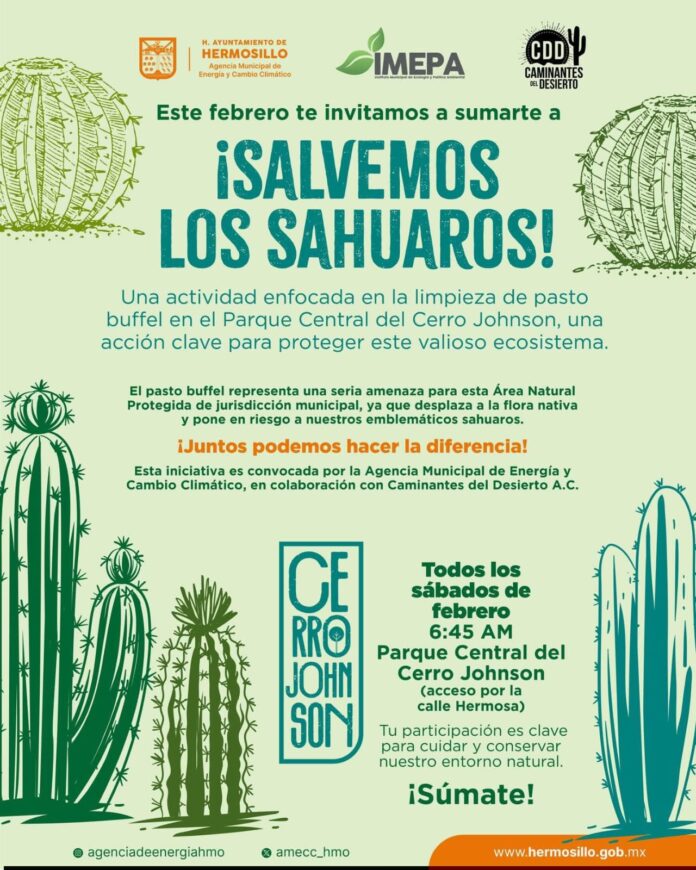 Convocan a participar en jornada “¡Salvemos los Sahuaros!”; las actividades se desarrollarán todos los sábados de febrero.