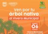 Invita Ayuntamiento de Hermosillo a participar en la donación de árboles nativos del Vivero Municipal