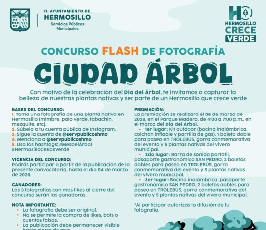 Invita Gobierno de Hermosillo a concurso de fotografía ‘Ciudad Árbol’