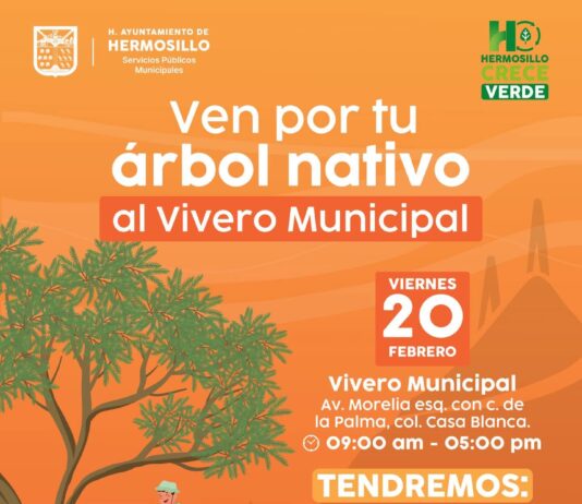 Este viernes 20 el Vivero Municipal donará árboles nativos