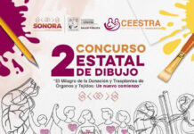 Último día para participar en concurso de dibujo sobre donación de órganos