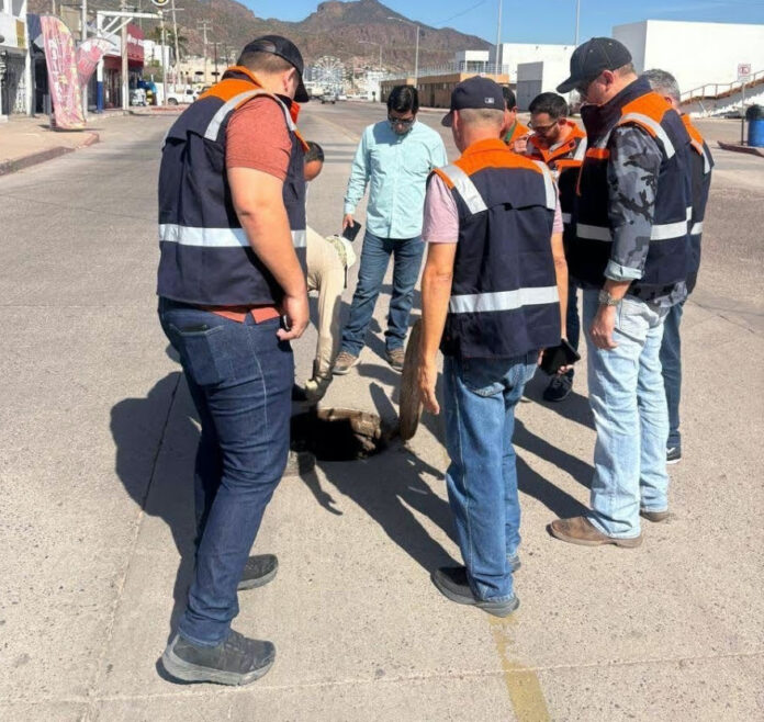 #Guaymas Refuerzan supervisión del sistema de drenaje en el sector centro, ante la proximidad del Carnaval; el objetivo es constatar que las líneas operen de manera eficiente y con niveles bajos, a fin de prevenir obstrucciones totales, desbordes de aguas negras o la generación de malos olores.