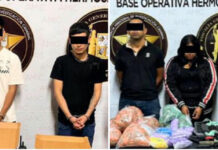 Desarticulan célula dedicada al tráfico de drogas