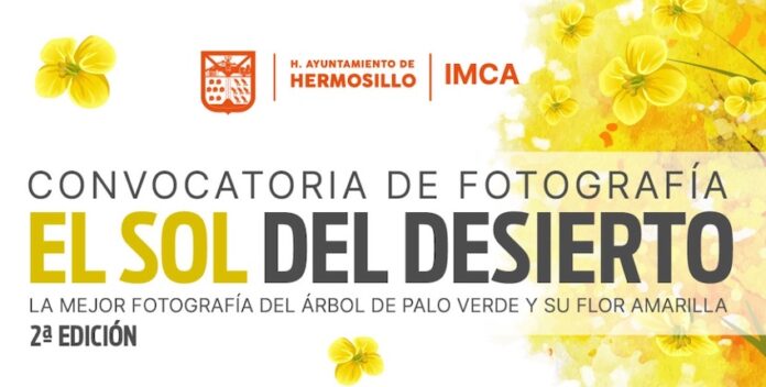 Invita Gobierno de Hermosillo a participar en la segunda edición del concurso de fotografía “El Sol del Desierto”; habrá premios para las mejores fotografías del árbol de palo verde y su flor amarilla.