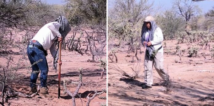 Hallan osamentas humanas en el ejido ‘Felipe Ángeles’; el Servicio Médico Forense de la Fiscalía del Estado determinará, mediante estudios científicos, a cuántas personas pertenecen.