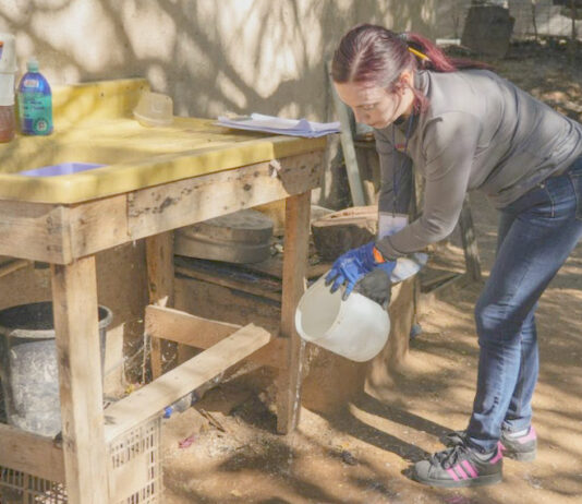 Llaman a limpiar patios para prevenir el dengue