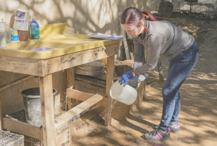 Llaman a limpiar patios para prevenir el dengue; con el objetivo de reducir la presencia del mosquito transmisor.