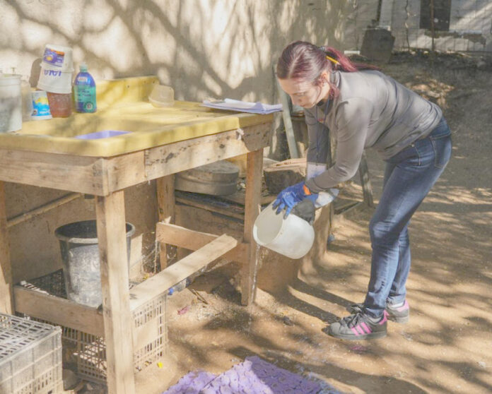 #Hermosillo Refuerzan llamado a prevenir el dengue ante temporada invernal atípica; al no presentarse frío intenso, el ciclo de vida del mosquito se vio poco afectado, lo que permite que continúe activo por más tiempo.