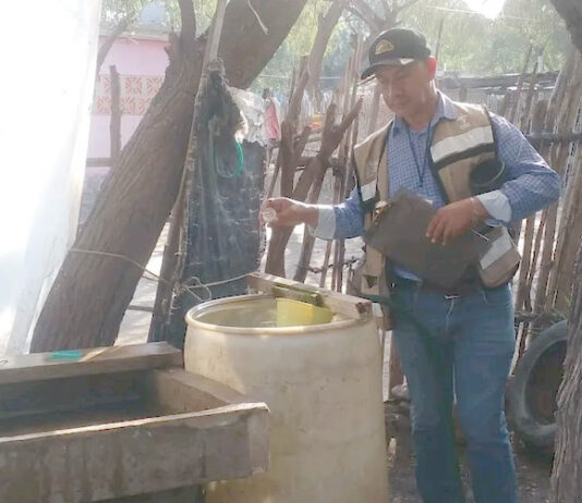 Ante posibles lluvias en Sonora, llama Salud a eliminar criaderos de mosquitos