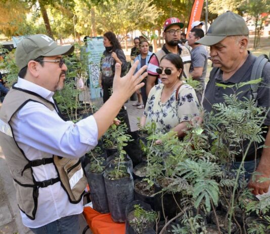 Promueve Municipio forestación de Hermosillo al donar mil árboles nativos por el Día del Árbol y Arbolado Urbano