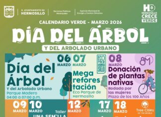 Continúa Gobierno Municipal agenda de actividades del Día del Árbol y del Arbolado Urbano