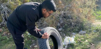 Exhortan a mantener la limpieza del hogar para prevenir la rickettsia