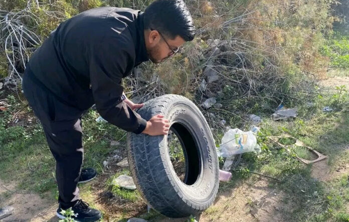 #Hermosillo Exhortan a mantener la limpieza del hogar para prevenir la rickettsia; enfermedad transmitida por la picadura de garrapatas infectadas.