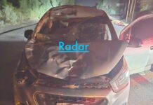 Caballo suelto en carretera de Libramiento ocasiona accidente