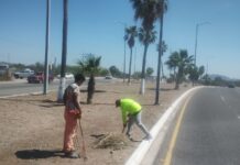 Continúa Servicios Públicos con trabajos de limpieza y alumbrado