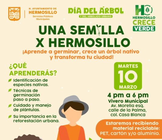 Convoca Gobierno de Hermosillo a aprender a germinar un árbol nativo y técnicas de poda