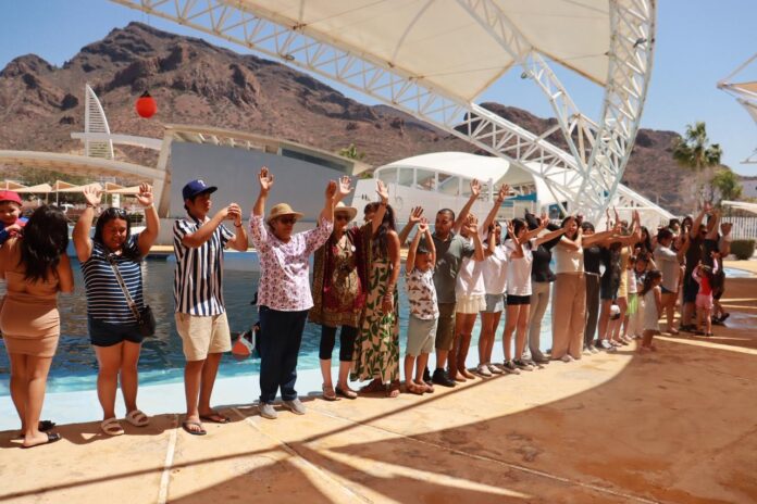 Invitan a disfrutar el Delfinario durante Semana Santa, como una opción de sano esparcimiento que combina recreación y aprendizaje sobre la vida marina.