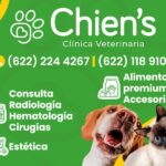 chiens