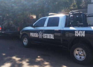 Menor es detenido en posesión de 191 dosis de droga