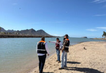 Verifican calidad sanitaria en playas de San Carlos conforme a norma federal