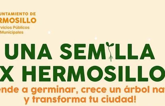 Convocan a Taller gratuito “Una Semilla X Hermosillo” para transformar la ciudad