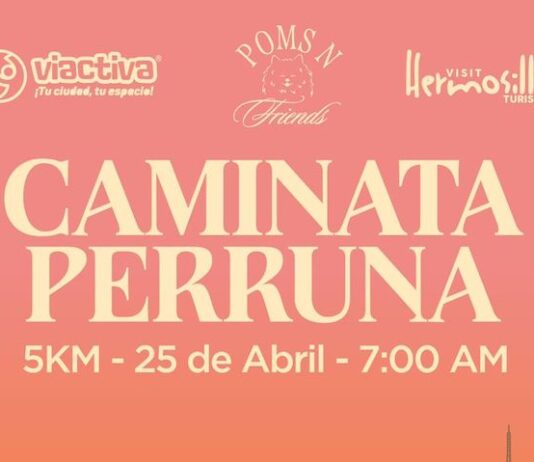 Invitan Gobierno de Hermosillo a participar en caminata con causa en apoyo a animales de compañía