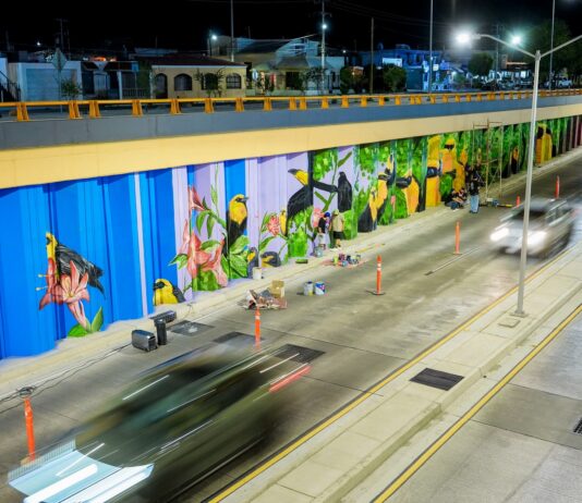 Avanza intervención mural en el paso a desnivel de Colosio y Solidaridad en Hermosillo