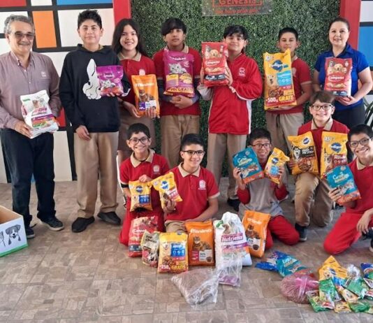 Supera meta de recaudación con 3.5 toneladas de alimentos para perros y gatos el Tercer Croquetón en Hermosillo