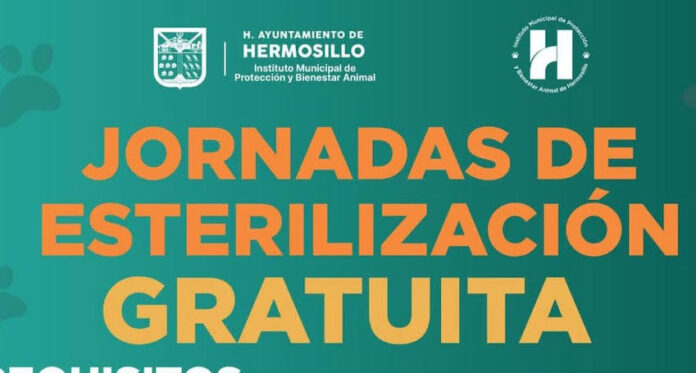 Mantiene agenda abierta Ayuntamiento de Hermosillo para esterilizaciones gratuitas para perros y gatos; es importante agendar cita para el procedimiento.