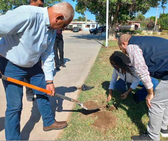 Mantienen programa de reforestación en Empalme