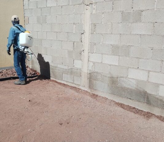 Atiende Ayuntamiento de Guaymas reportes vecinales con jornada de fumigación en Pradera Dorada