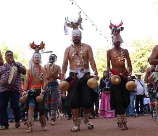 Celebran identidad y tradición en el arranque de las Fiestas del Pitic 2026