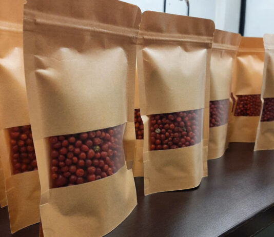 Un éxito segunda cosecha de chiltepín en Universidad Tecnológica de Etchojoa