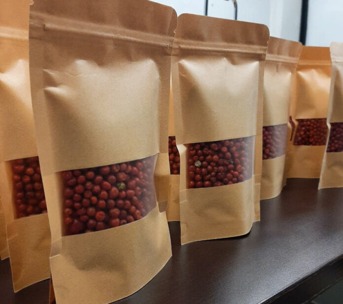 Un éxito segunda cosecha de chiltepín en Universidad Tecnológica de Etchojoa; producto de alta producción y de fácil recolección.