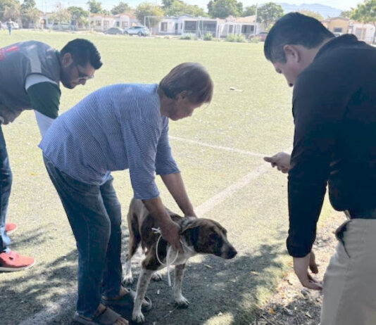 Alertan sobre riesgo de garrapatas en dormitorios