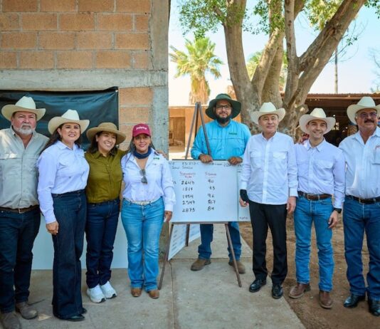 Gobernador Durazo y Sader garantizan apoyo al campo sonorense con estrategia de reconversión de cultivos