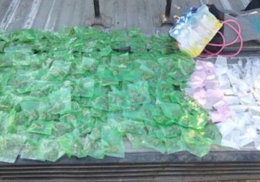 Más de medio millón de dosis de drogas aseguradas en Sonora